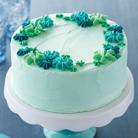 Turquoise Cake 500g